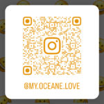 https://www.instagram.com/my.oceane.love/, Instagram for hot new trending brand, OCEANE